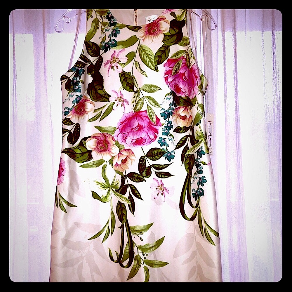 NWT Beautiful, Eliza J Floral Dress